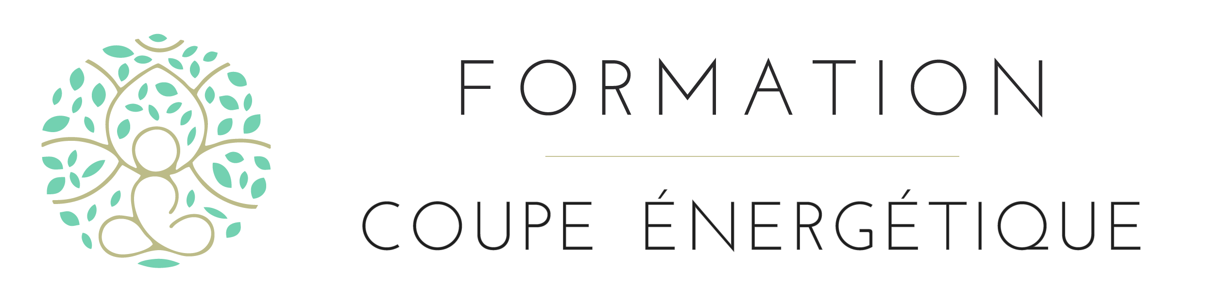 formation coupe énergétique Anny Touron